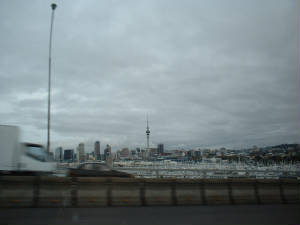 auckland.jpg