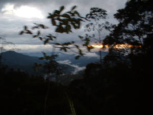 dscf0215.jpg