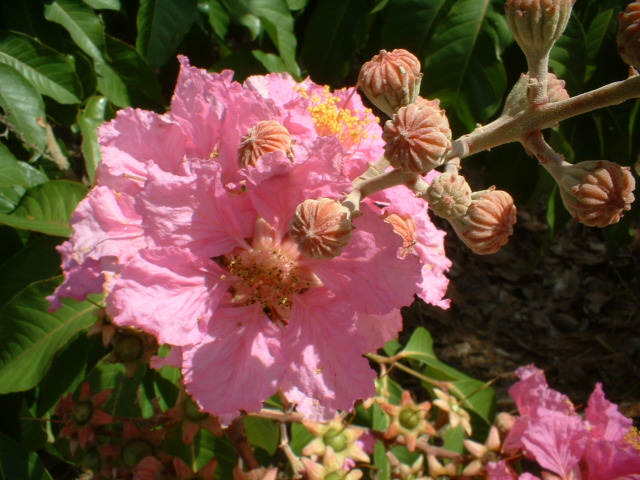 ddscf0172.jpg